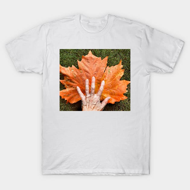 Autumn leaf and hand T-Shirt by rozmcq